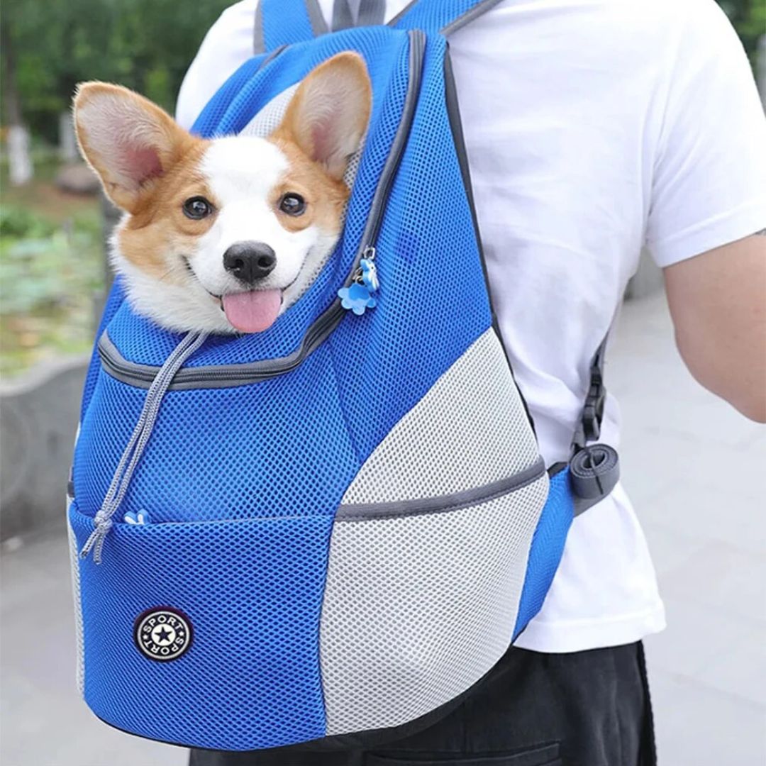 Hunde Transport-Rucksack