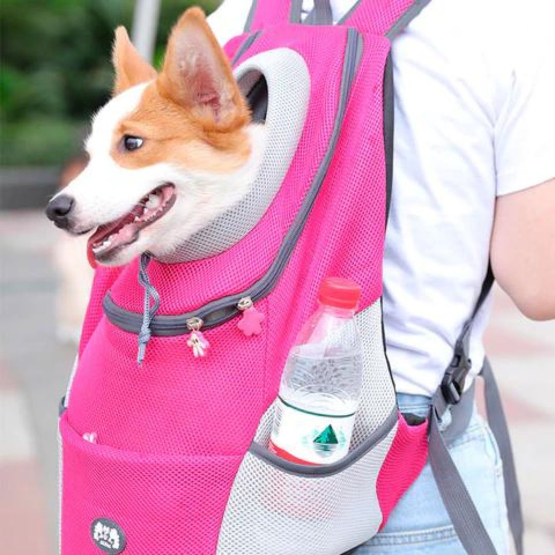 Hunde Transport-Rucksack
